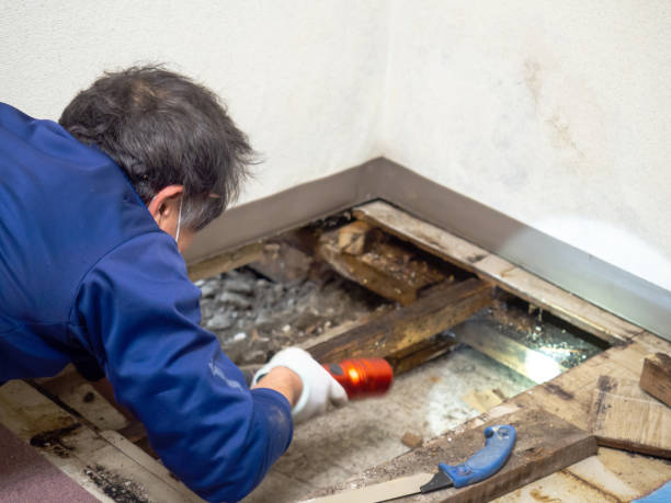 Water Damage Restoration in Euclid, OH