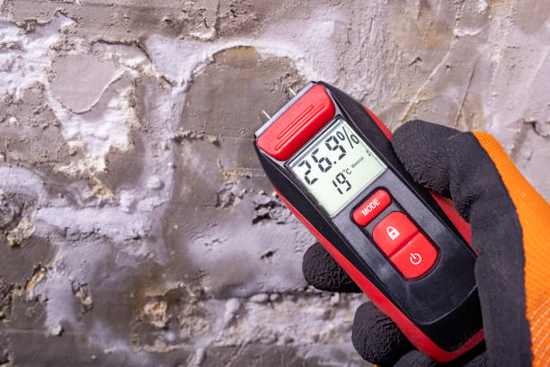Trusted Euclid, OH Mold Removal Experts